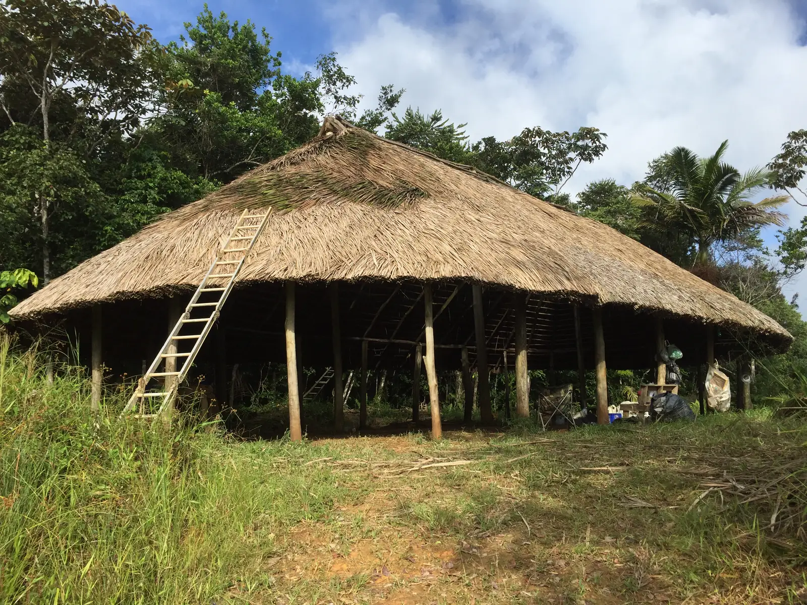 Taíno areyto ceremony